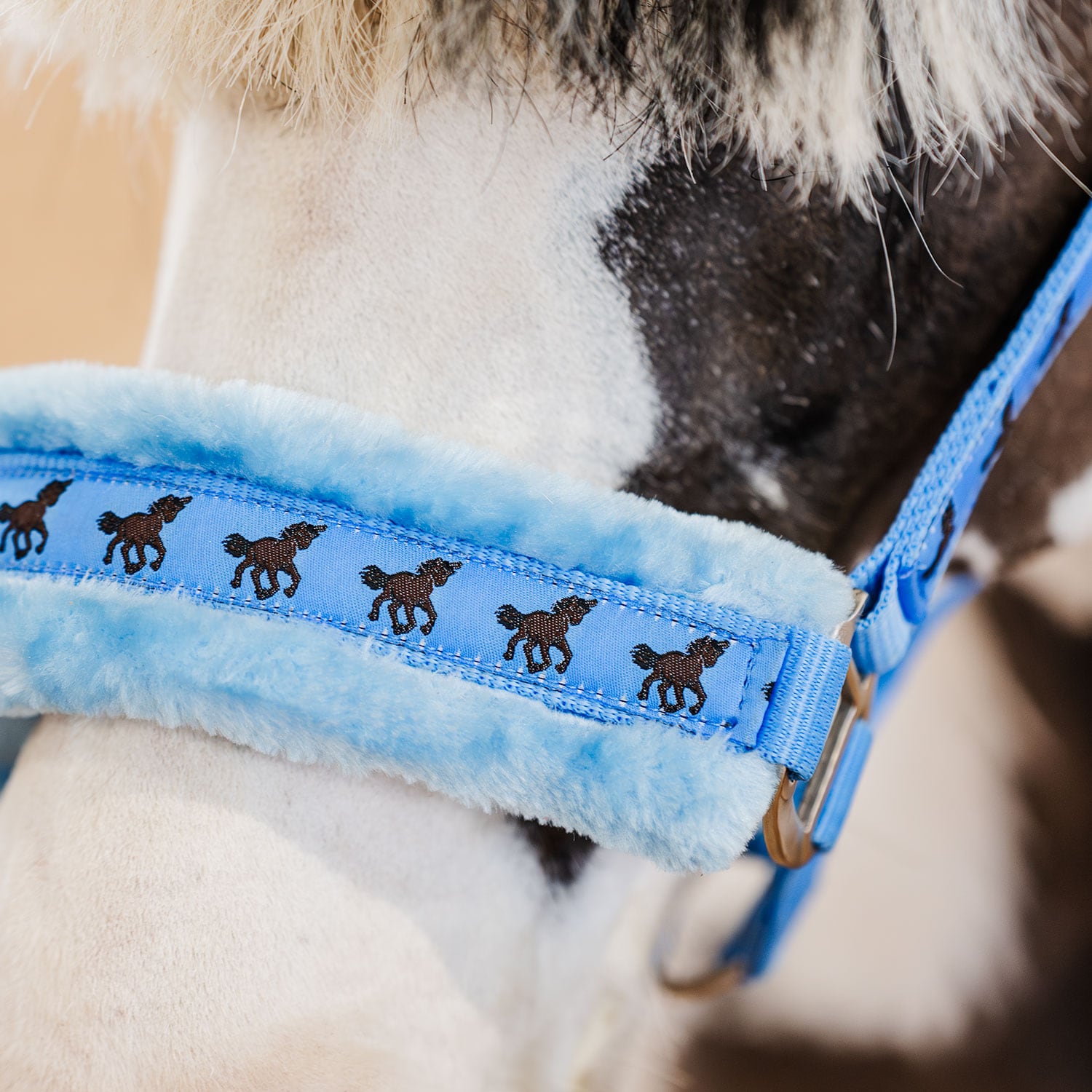 Grime Robin Fairfield®