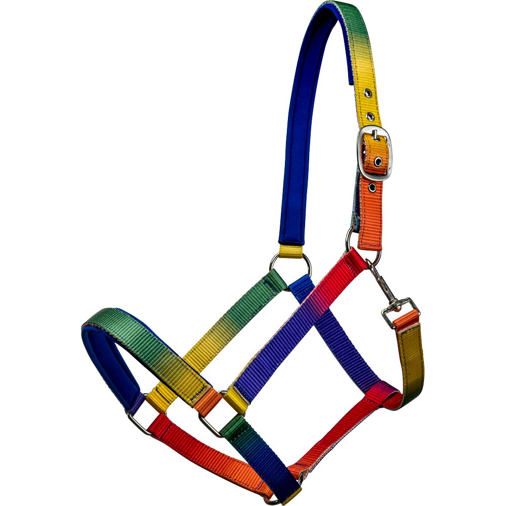 Grime  Rainbow Fairfield®