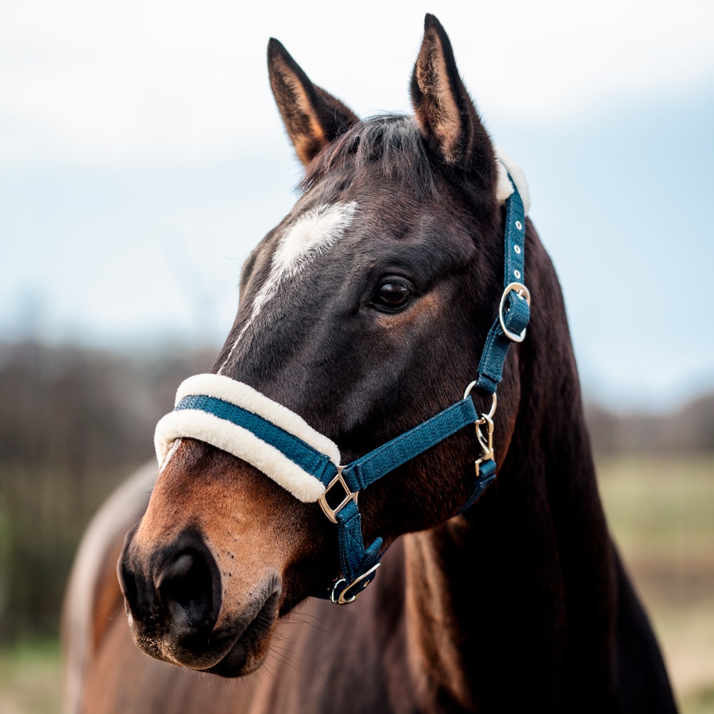 Grime Furidant Fairfield®