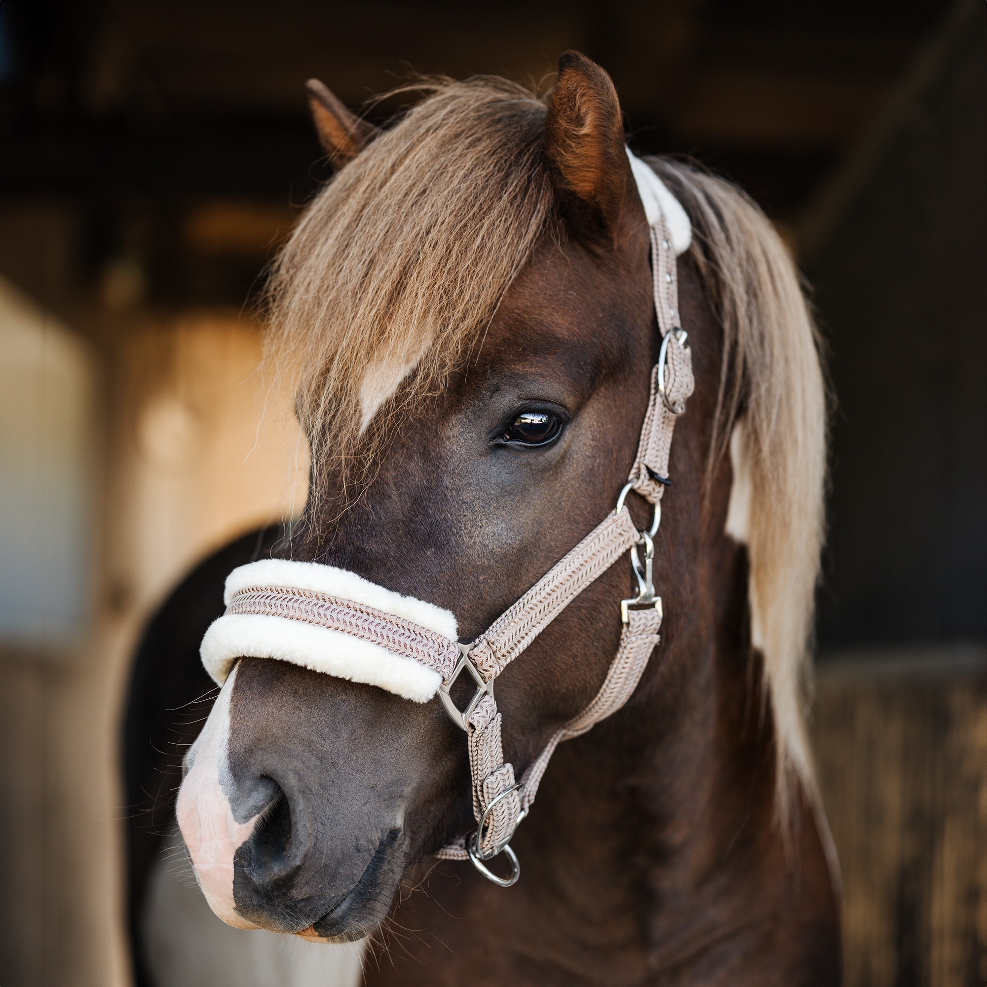 Grime  Furidant Fairfield®