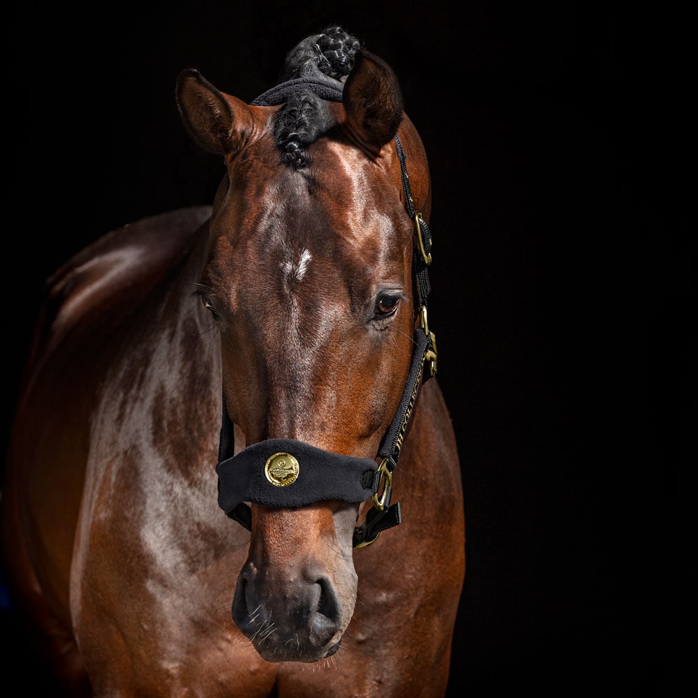 Grime Codera JH Collection®