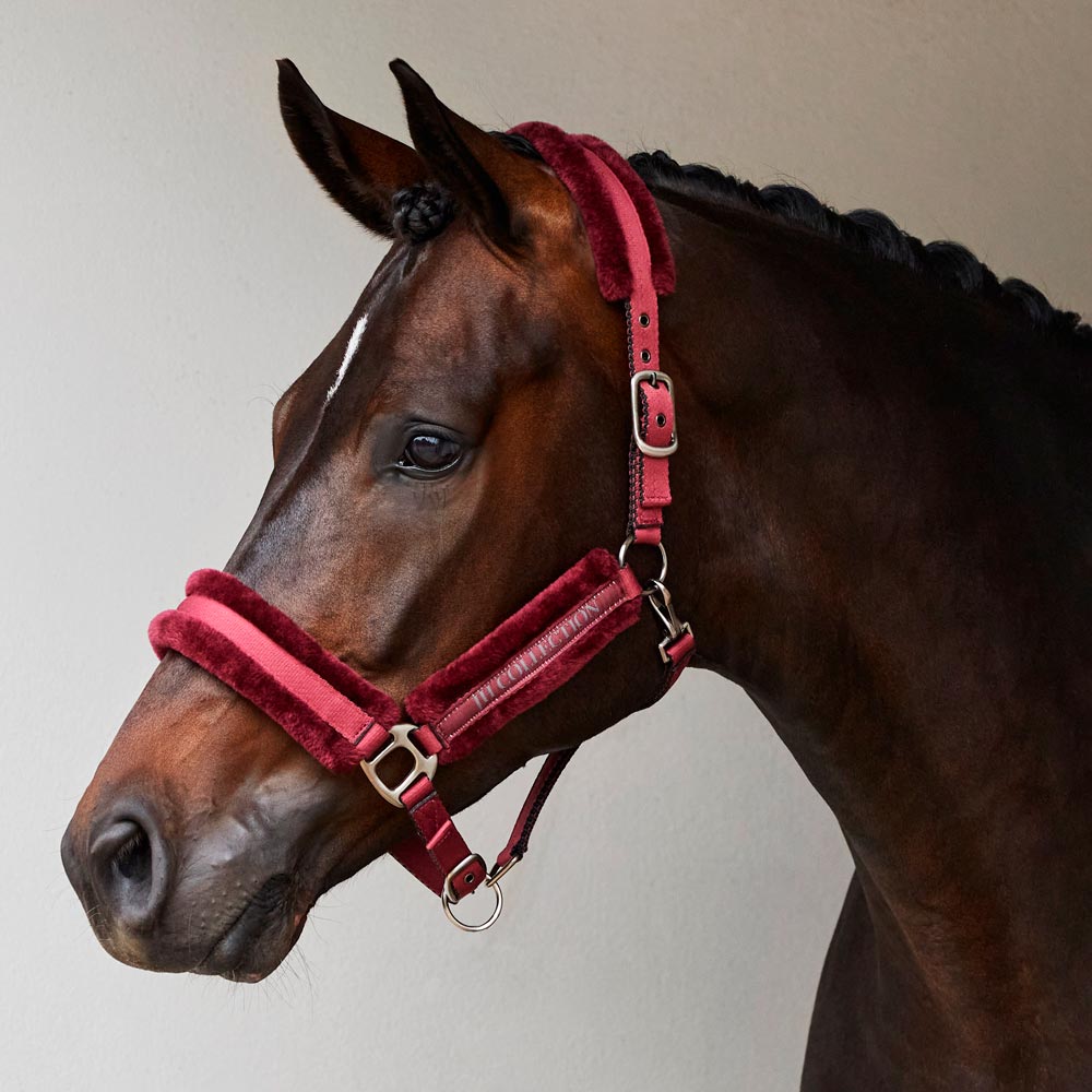 Grime Novara JH Collection®