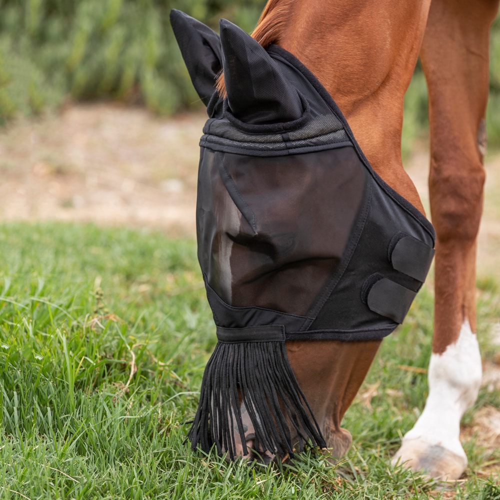 Fluemaske  Everglade Buzz EquiXpert®