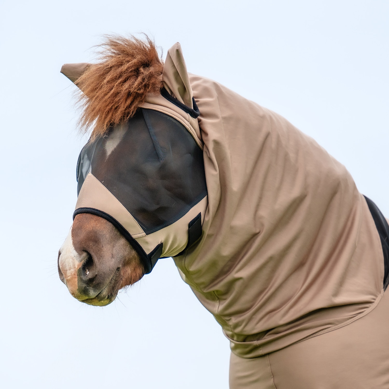 Eksemhætte  Sweetitch hood CRW®