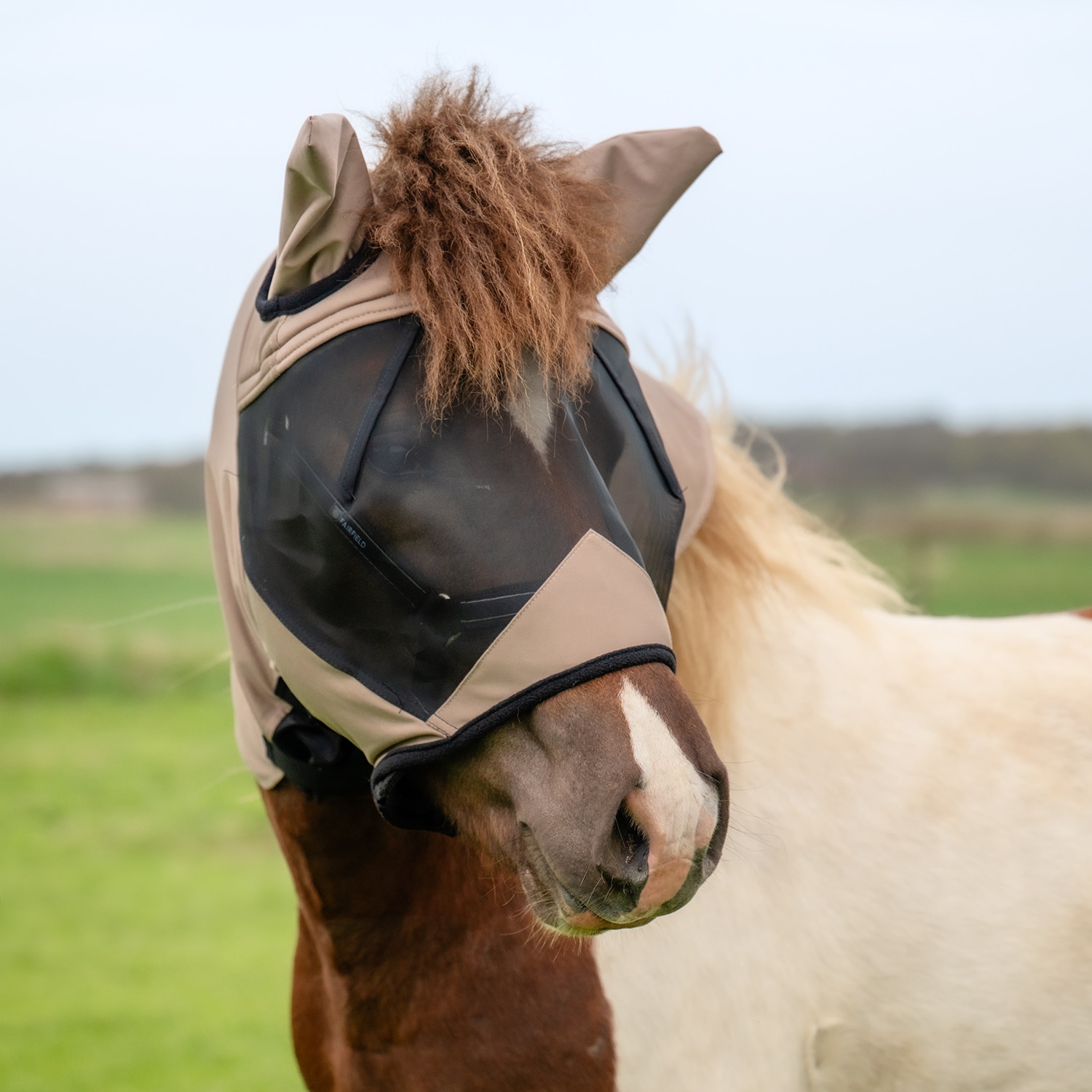 Eksemhætte  Sweetitch hood CRW®