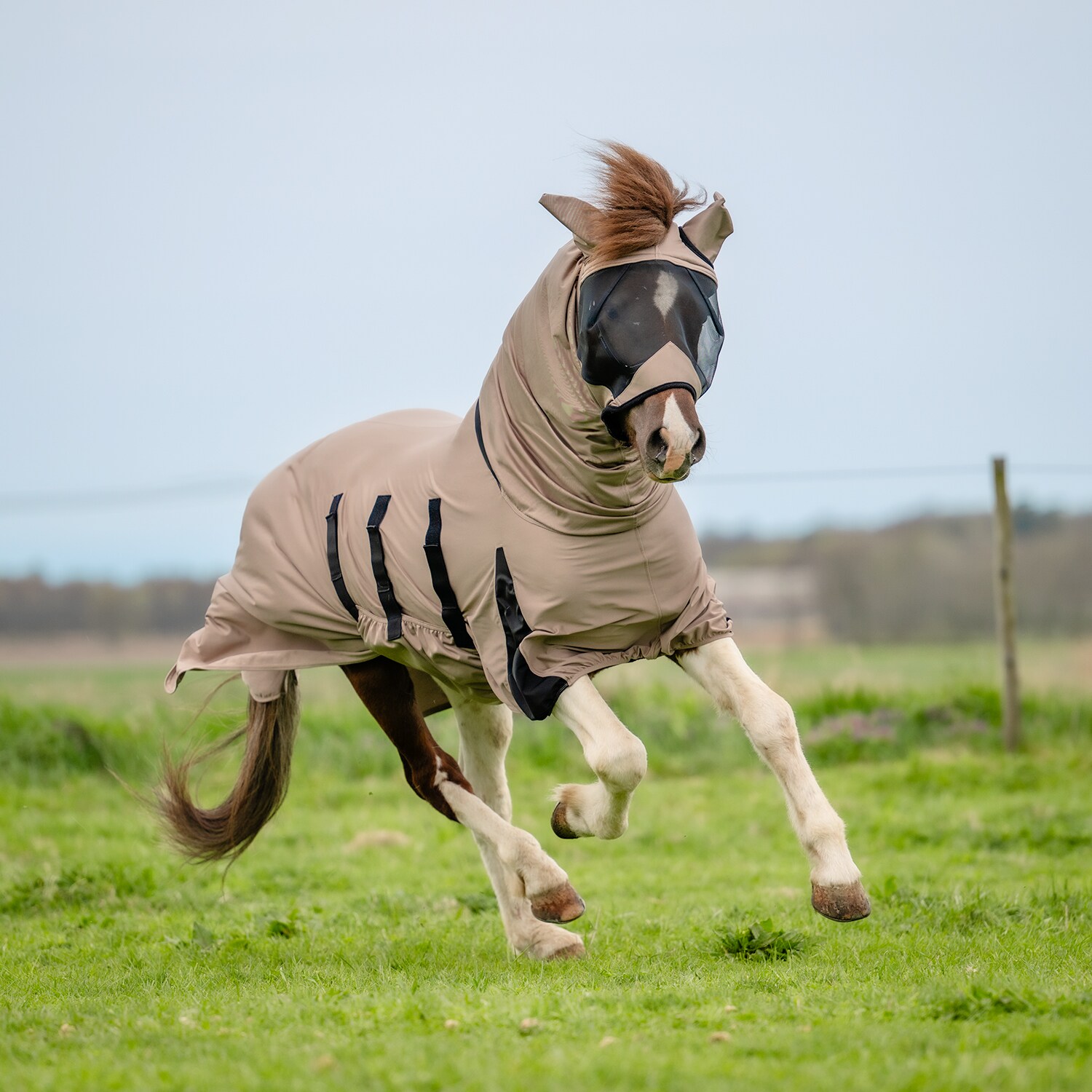Eksemhætte  Sweetitch hood CRW®
