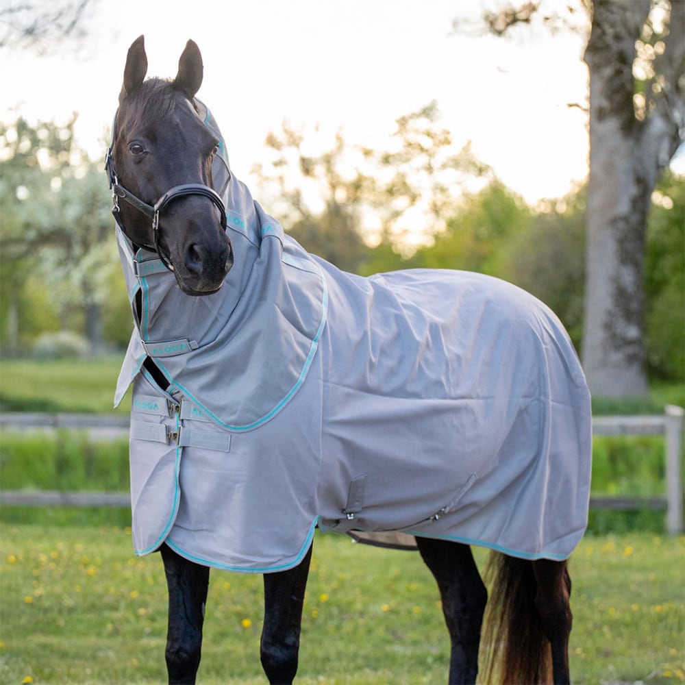 Fluedækken  Fly Aloga Equestrian