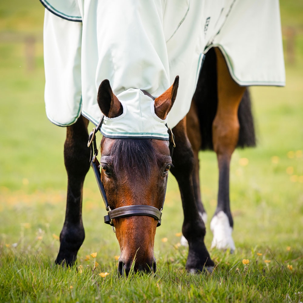 Eksemdækken  Rambo Hoody Horseware®