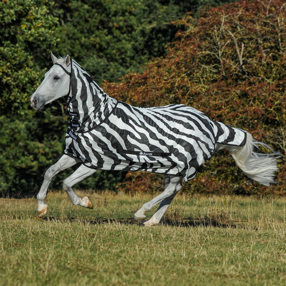 Fluedækken  Buzz-Off Zebra Bucas