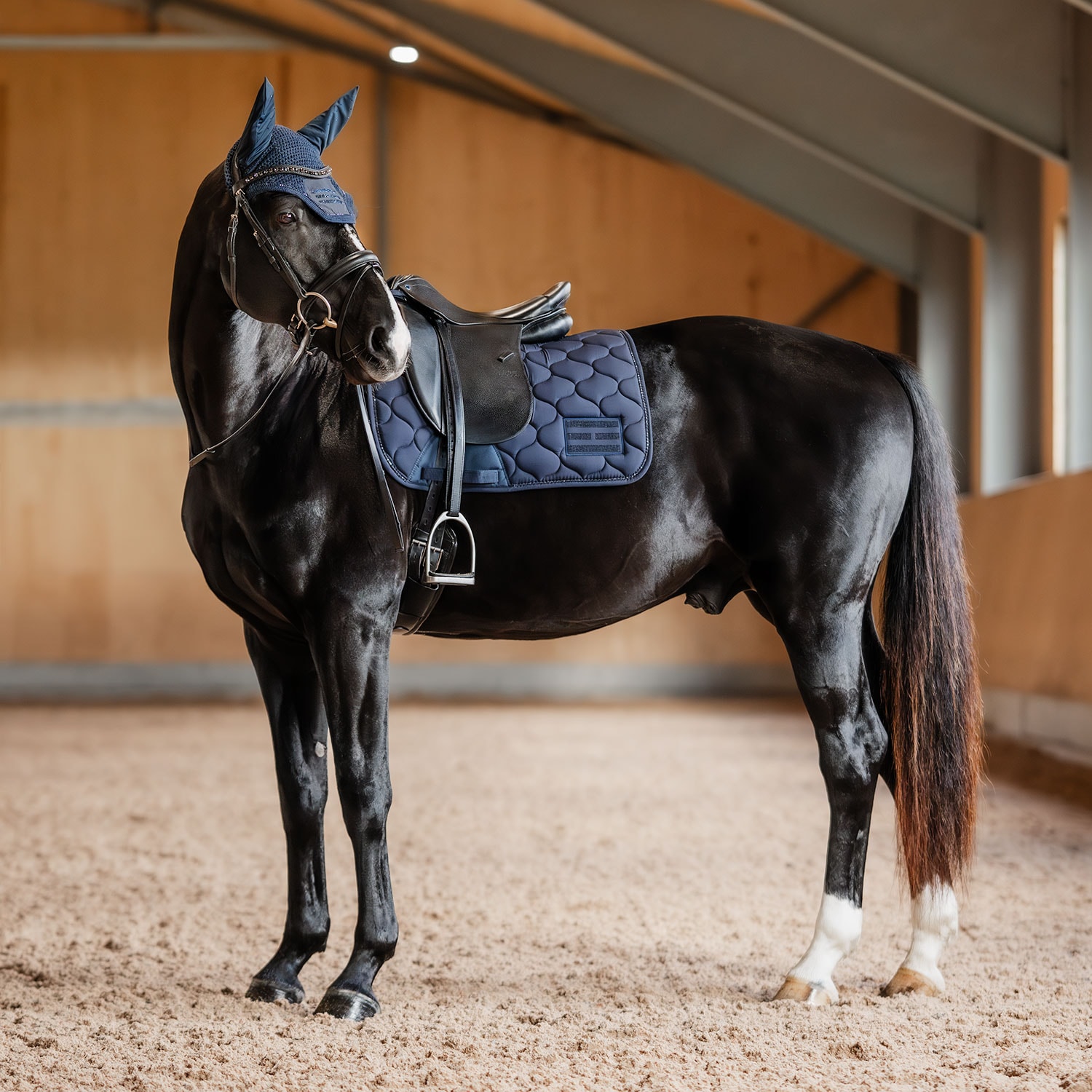 Hut  Midnight Fairfield®