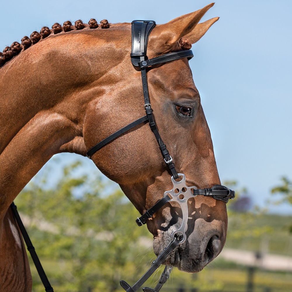 fjende George Eliot Råd Hackamore Fairfield® - Hööks