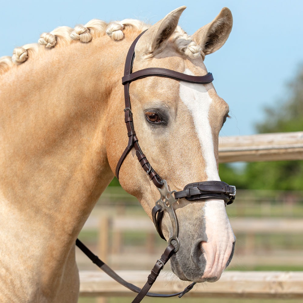 Hackamore   Fairfield®