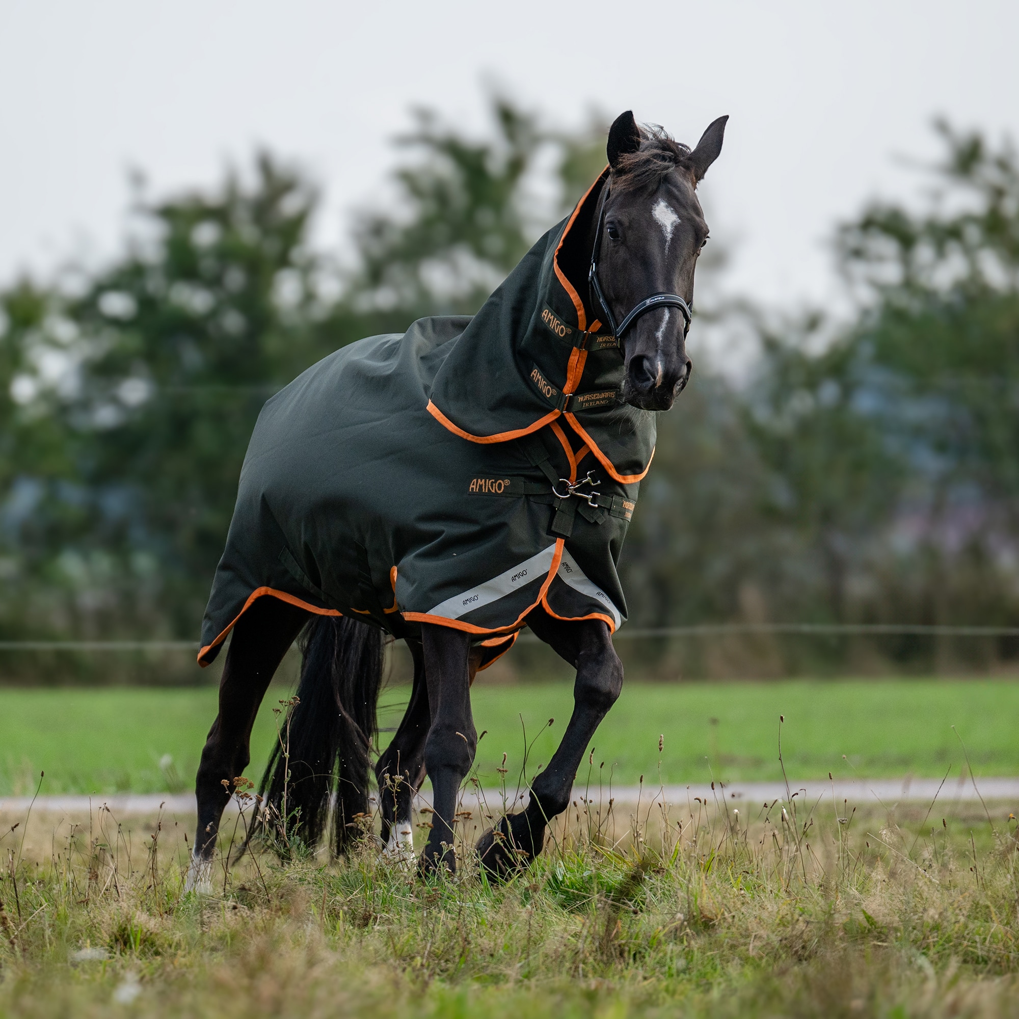 Regndækken  Amigo Bravo 12 Plus 30 Horseware®