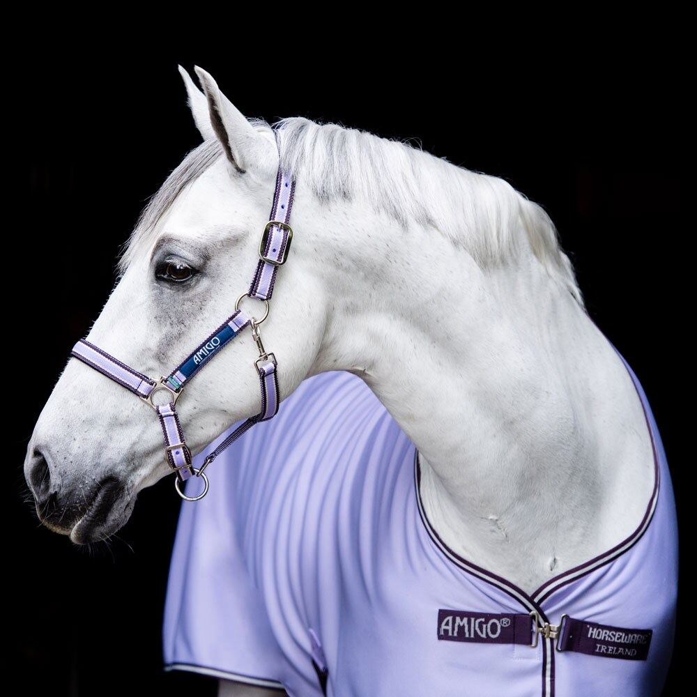 Stalddækken  Amigo Jersey Cooler Horseware®