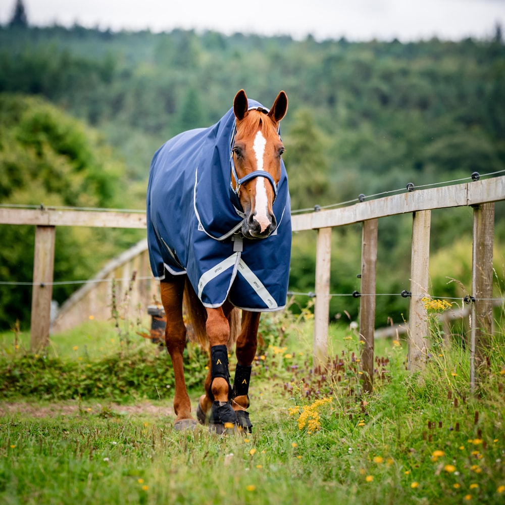 Regndækken  Amigo Bravo 12 Plus Turnout Lite Horseware®