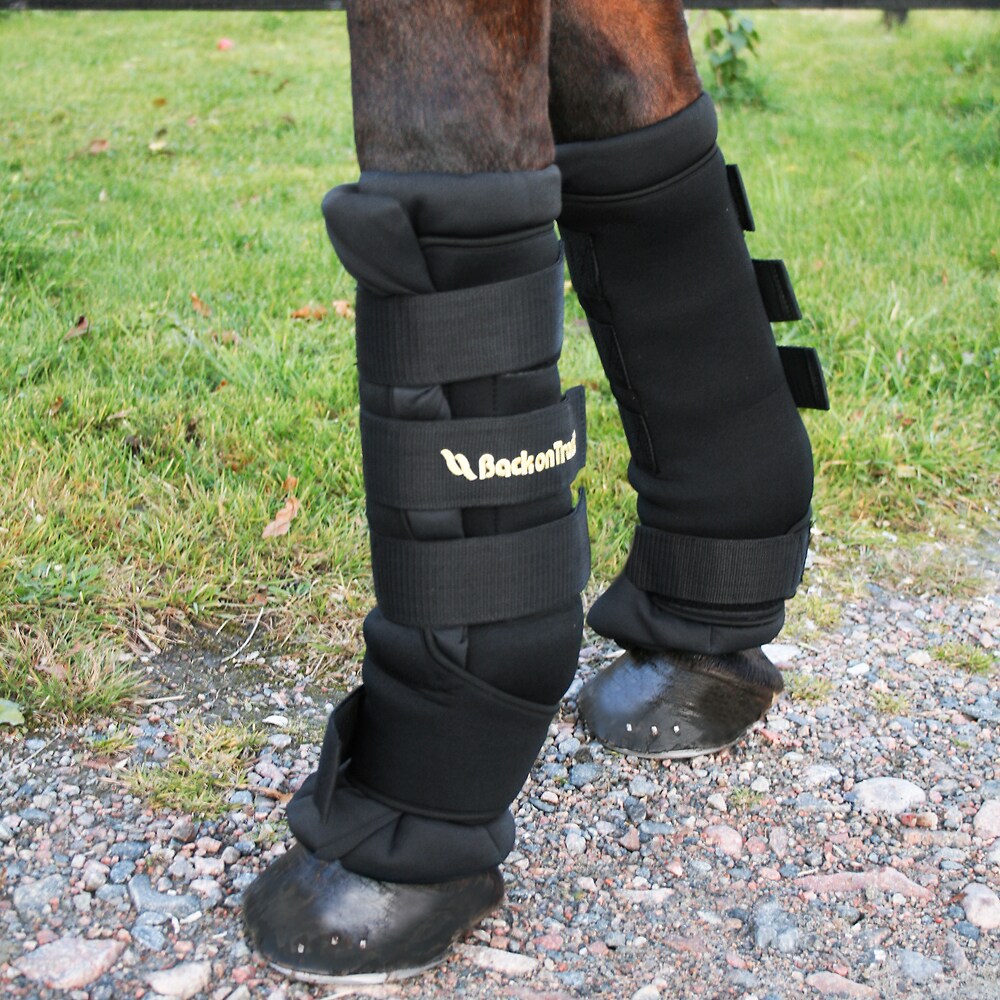 Staldgamacher Royal Back on Track®