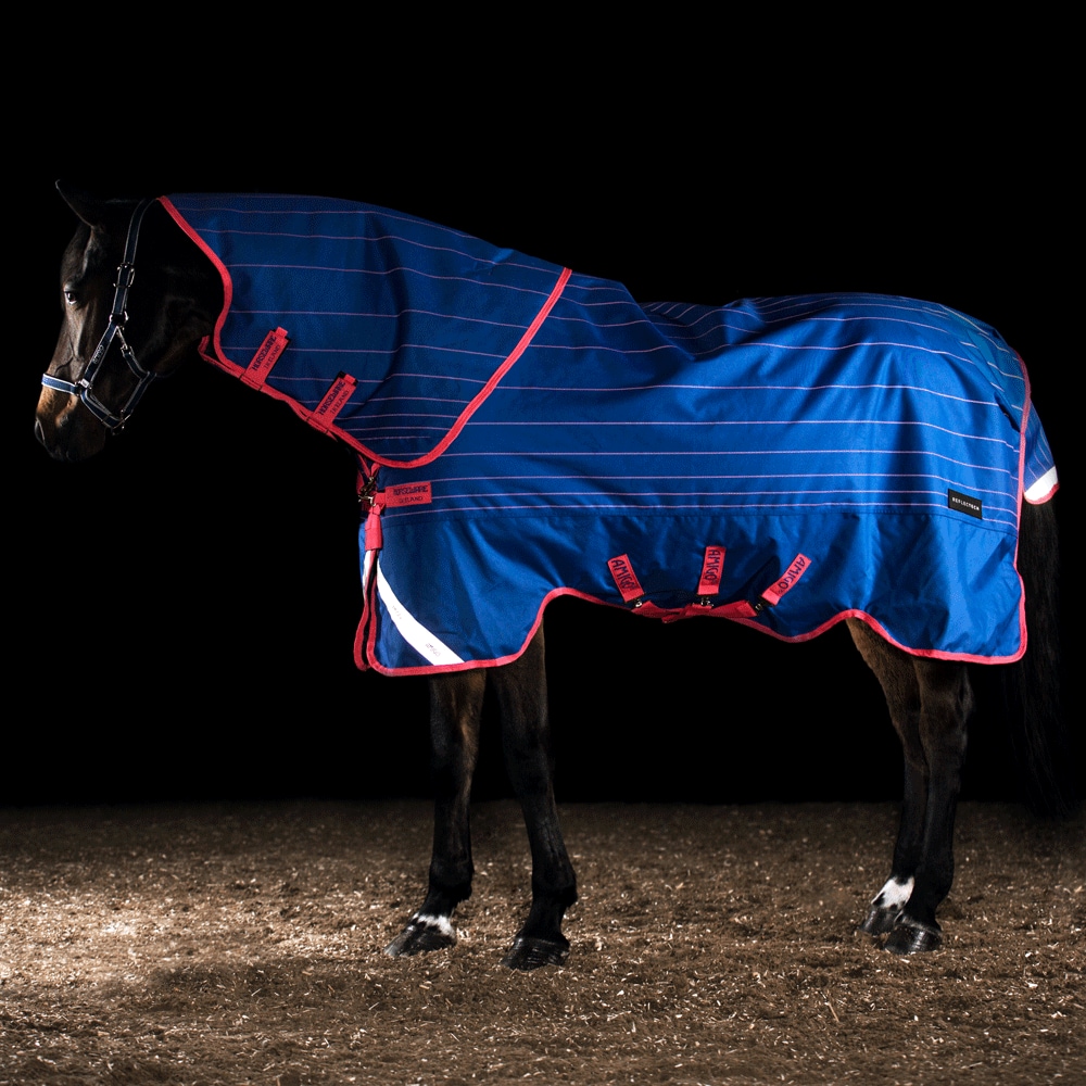 Vinterdækken  Amigo Bravo Reflectech Plus 250 Horseware®