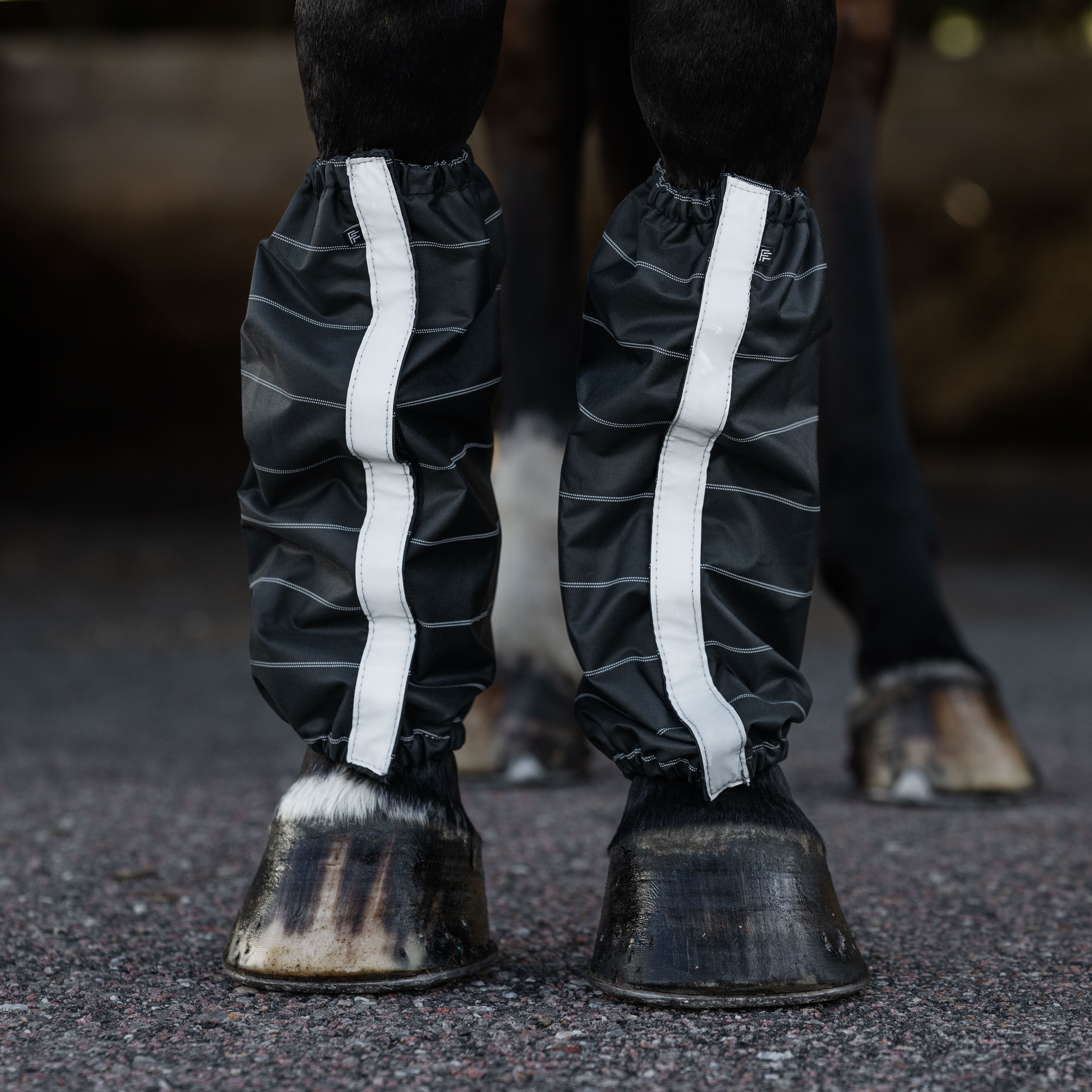 Leggings  Gateway Fairfield®