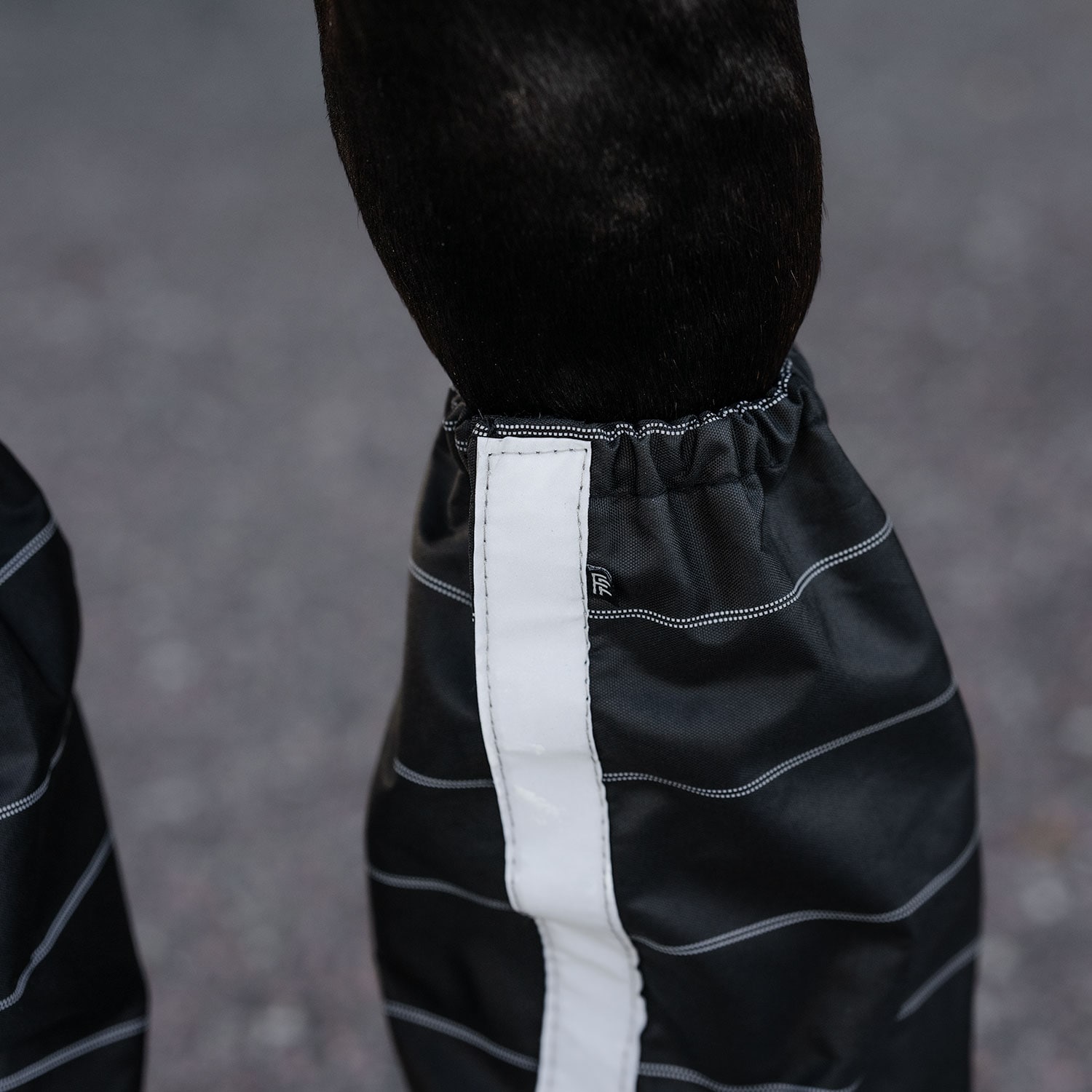 Leggings  Gateway Fairfield®