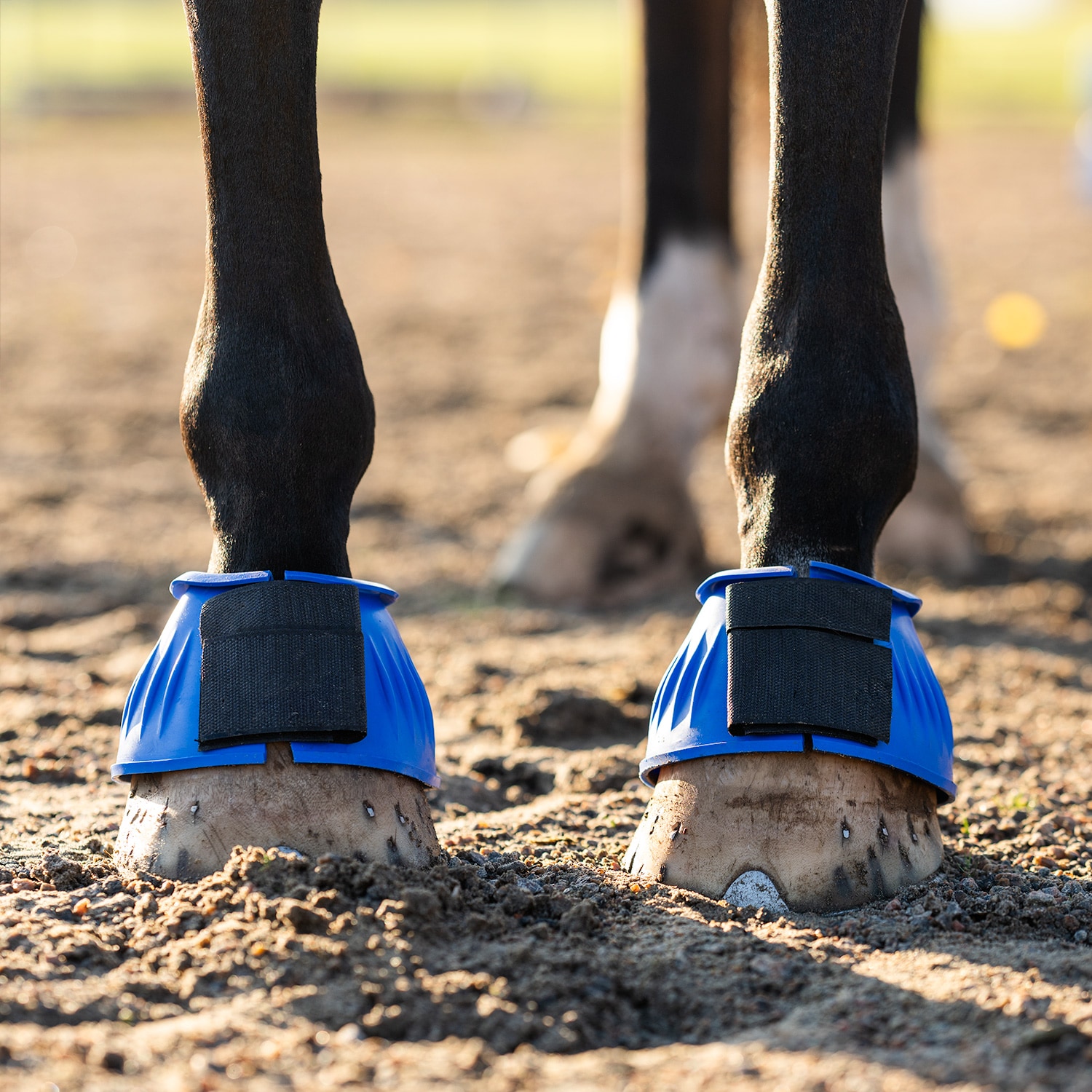 Klokker  Basic Fairfield®