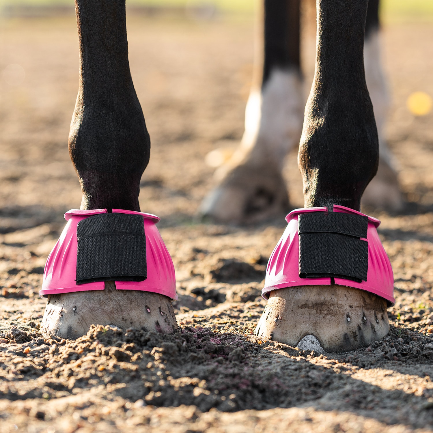 Klokker  Basic Fairfield®