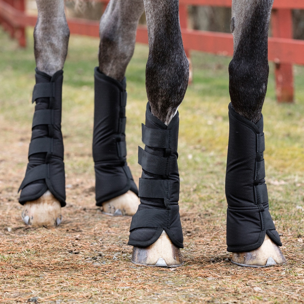 Transportgamacher  Basic Short Fairfield®