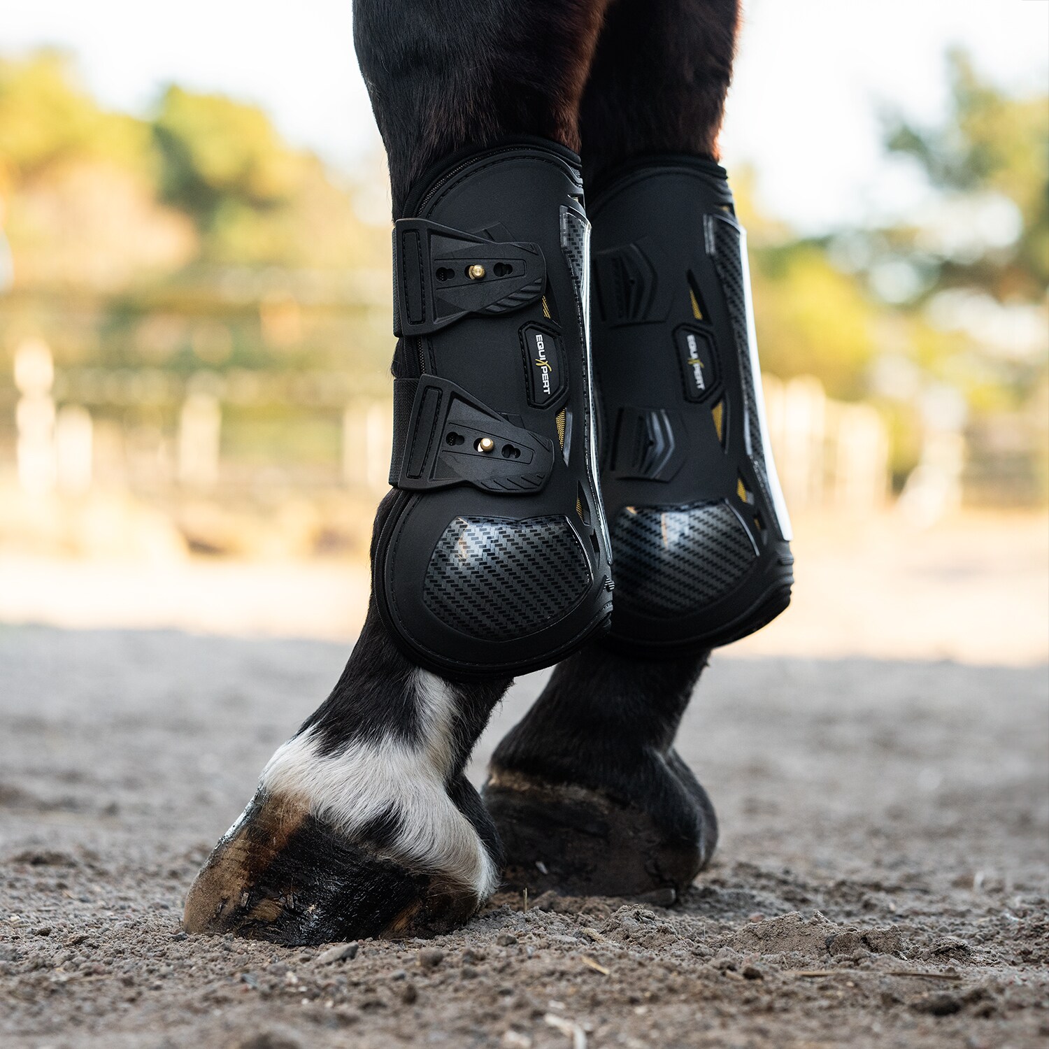 Gamacher  Elevate EquiXpert®