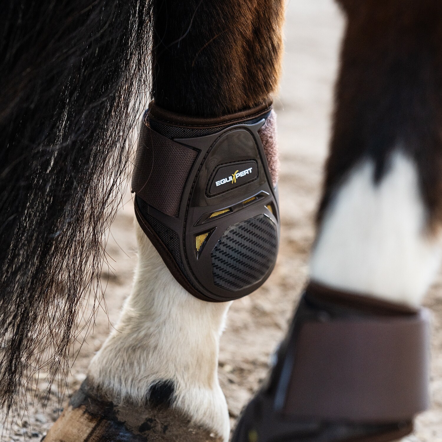 Stryglapper  Elevate EquiXpert®