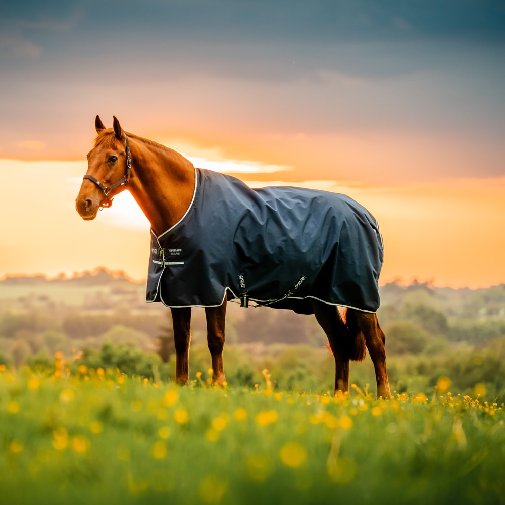 Regndækken  Amigo Ripstop 900D Turnout 0g Horseware®