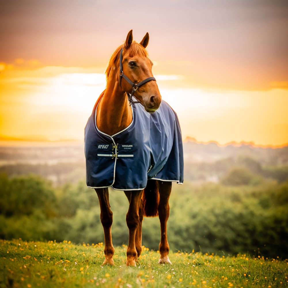 Regndækken  Amigo Ripstop 900D Turnout 0g Horseware®
