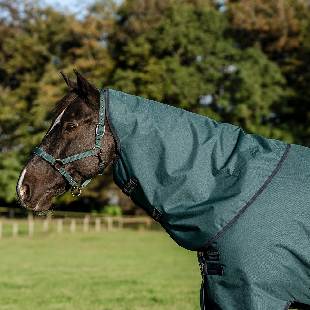 Halsdækken  Amigo Turnout Ripstop 0G Horseware®