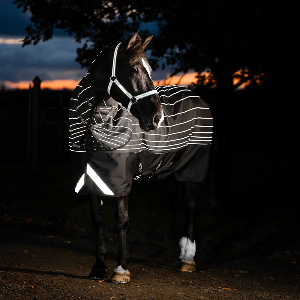 Udedækken 100 g Amigo Bravo 12 Reflectech Plus Turnout Horseware®