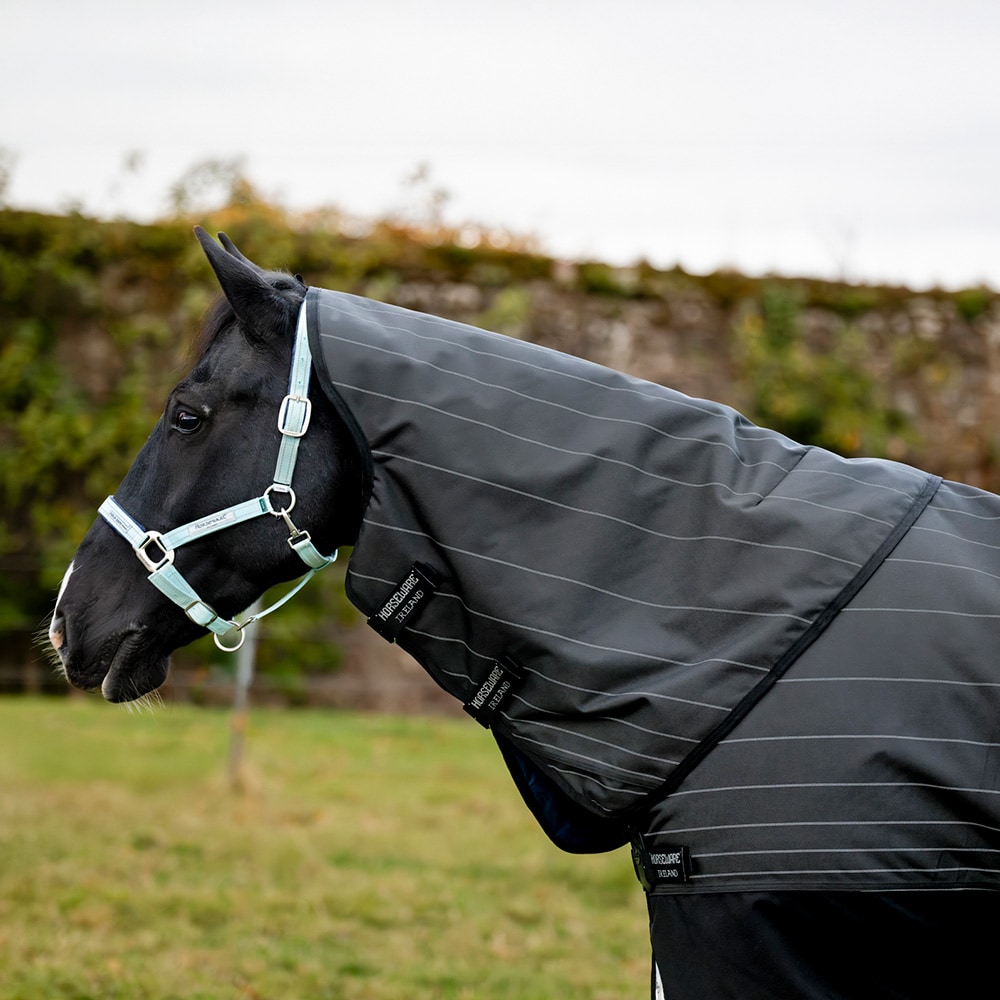 Udedækken 100 g Amigo Bravo 12 Reflectech Plus Turnout Horseware®
