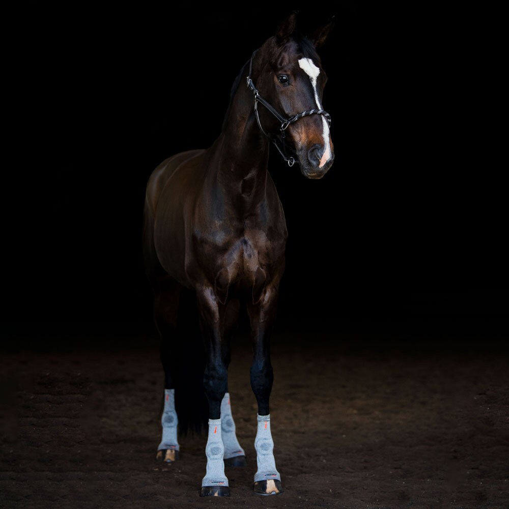 Bandage  Circulation Hoof Sock Incrediwear Equine