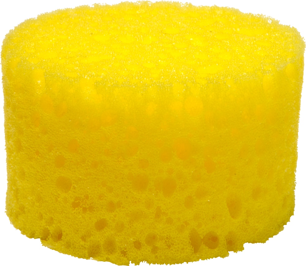 Pudsesvamp   Hööks