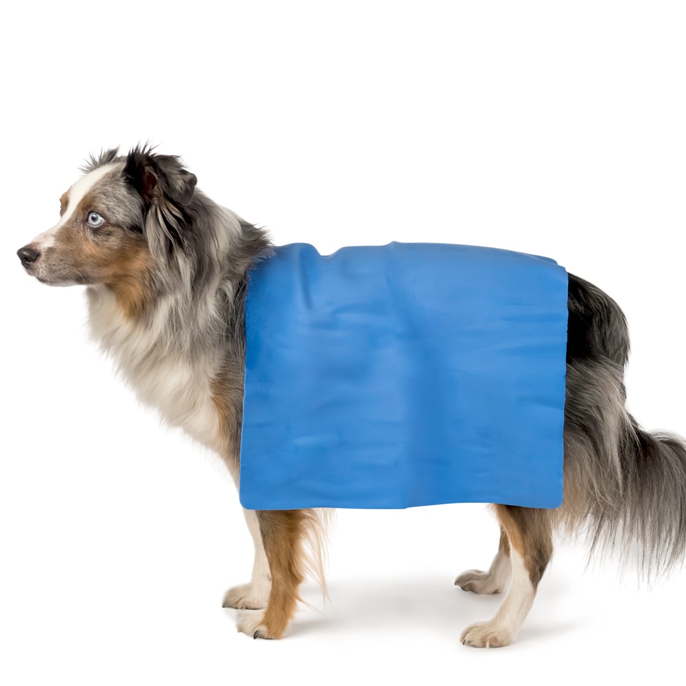 Køle- og tørreklud Showmaster®