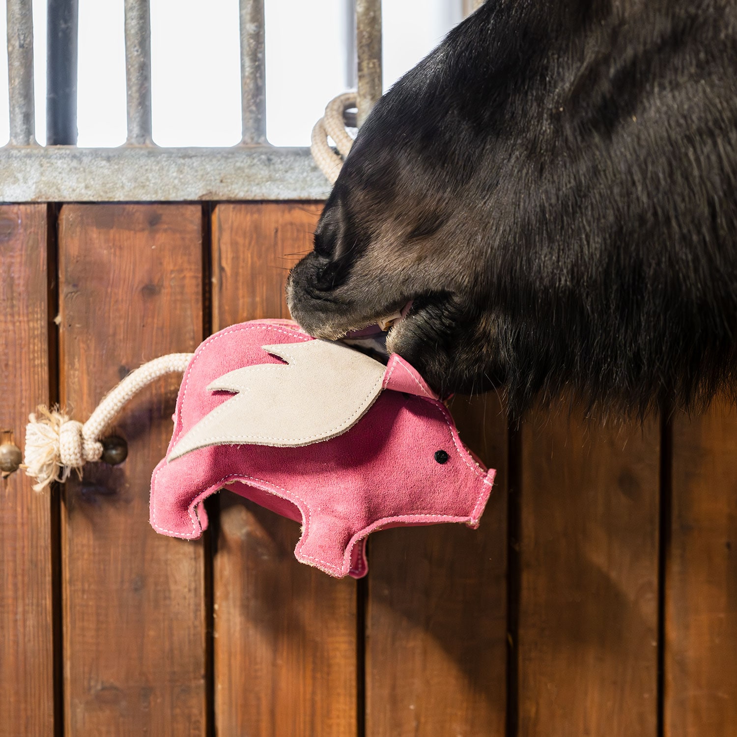 Bokslegetøj Pig Hööks