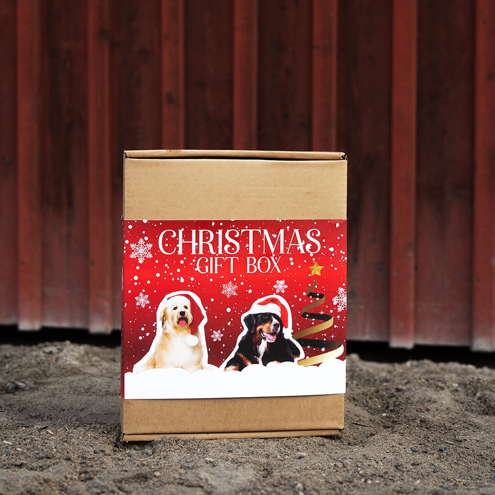   X-Mas Giftbox for Dogs Treateaters