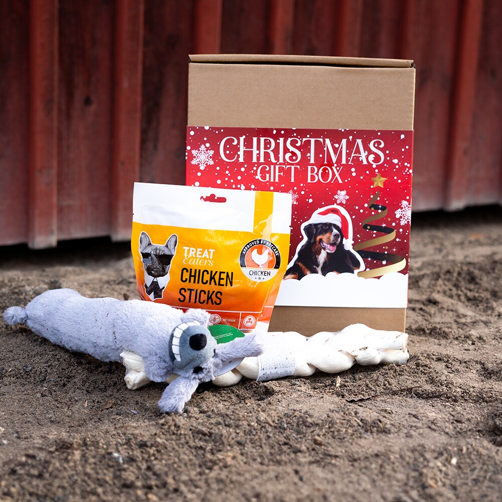   X-Mas Giftbox for Dogs Treateaters