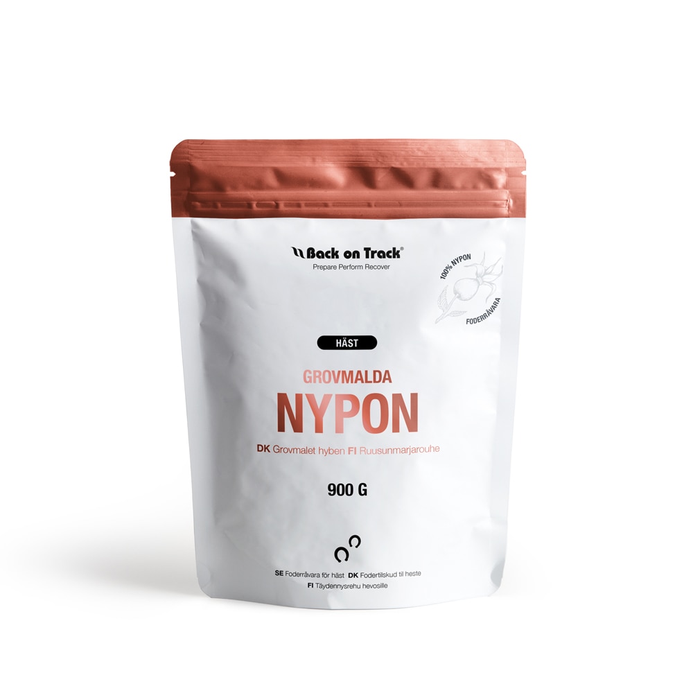 Hyben   Back on Track®