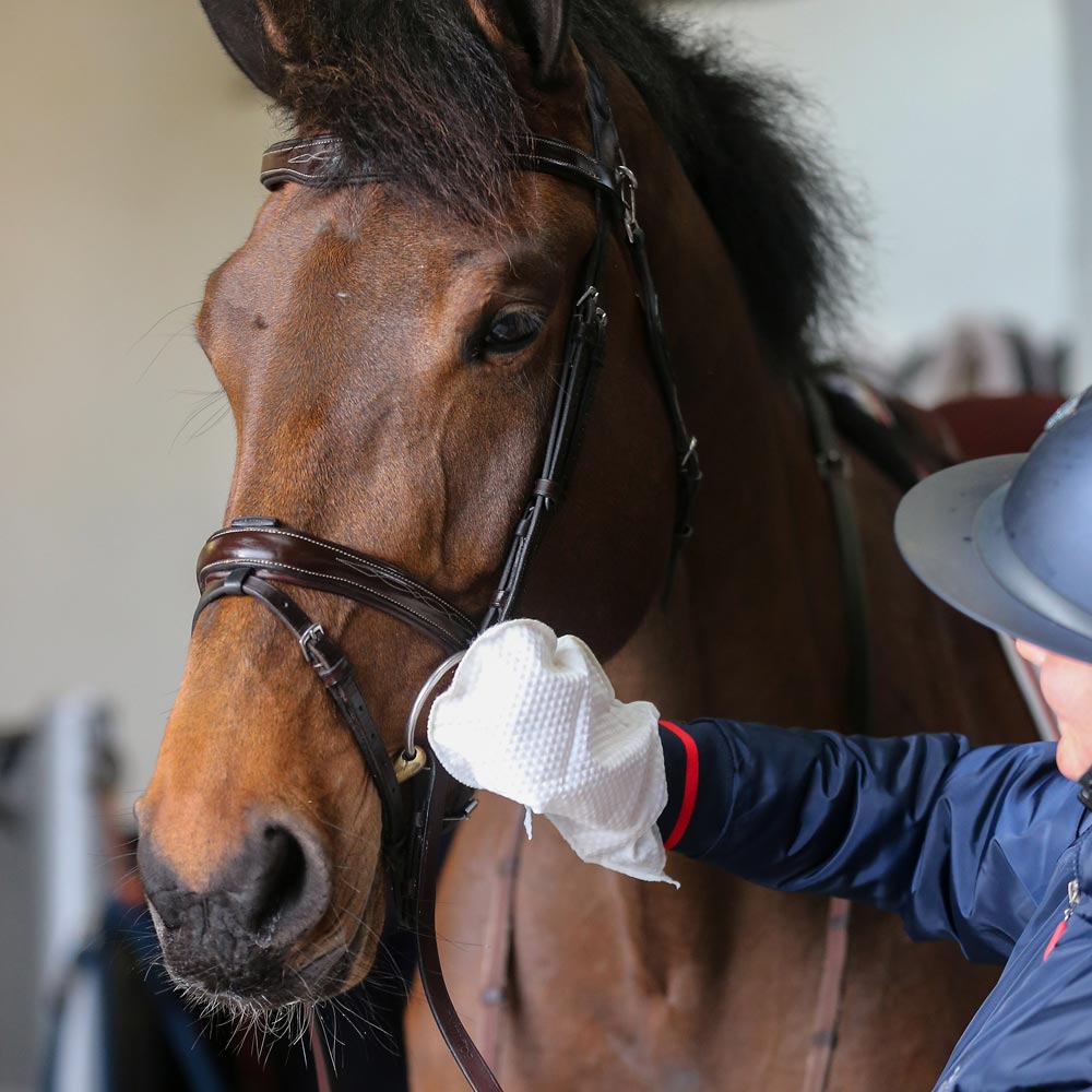 Striglevante  Belvoir Tack Cleaning Mit Carr & Day & Martin