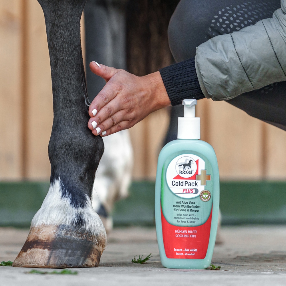 Liniment  Cold Pack plus leovet®