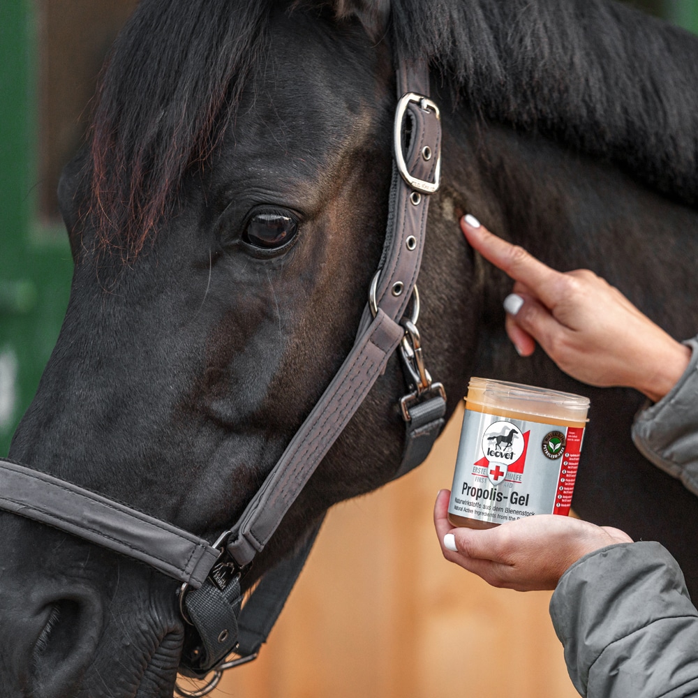Sårsalve  FIRST AID Propolis Gel leovet®