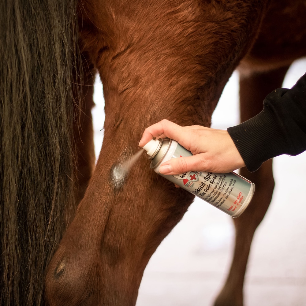 Sårspray  FIRST AID Zinkoid Spray leovet®