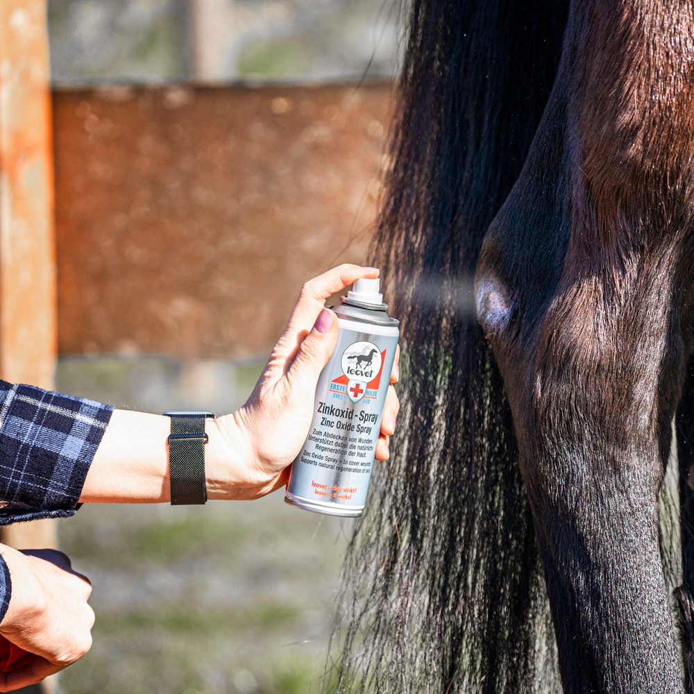 Sårspray  FIRST AID Zinkoid Spray leovet®