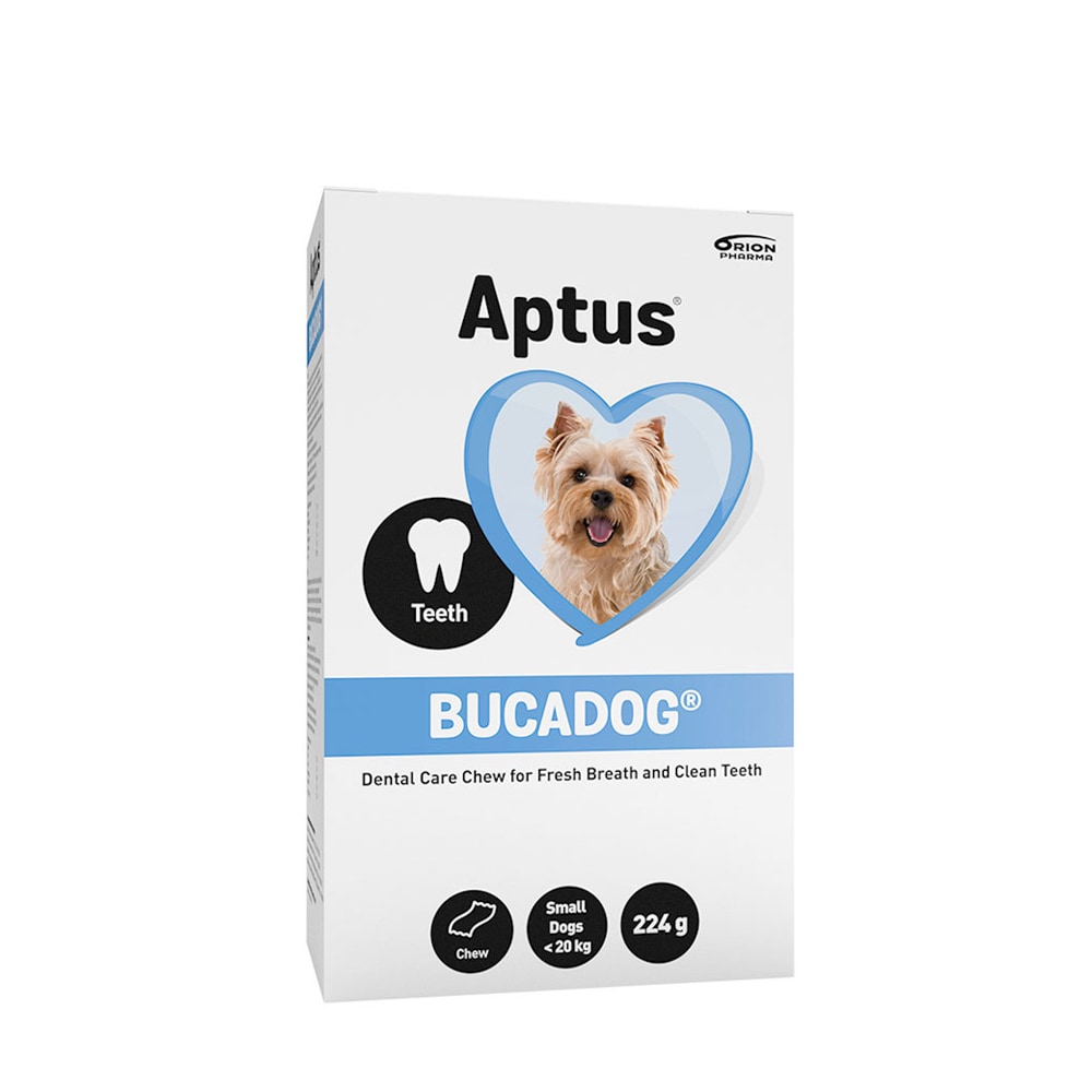   Bucadog Aptus