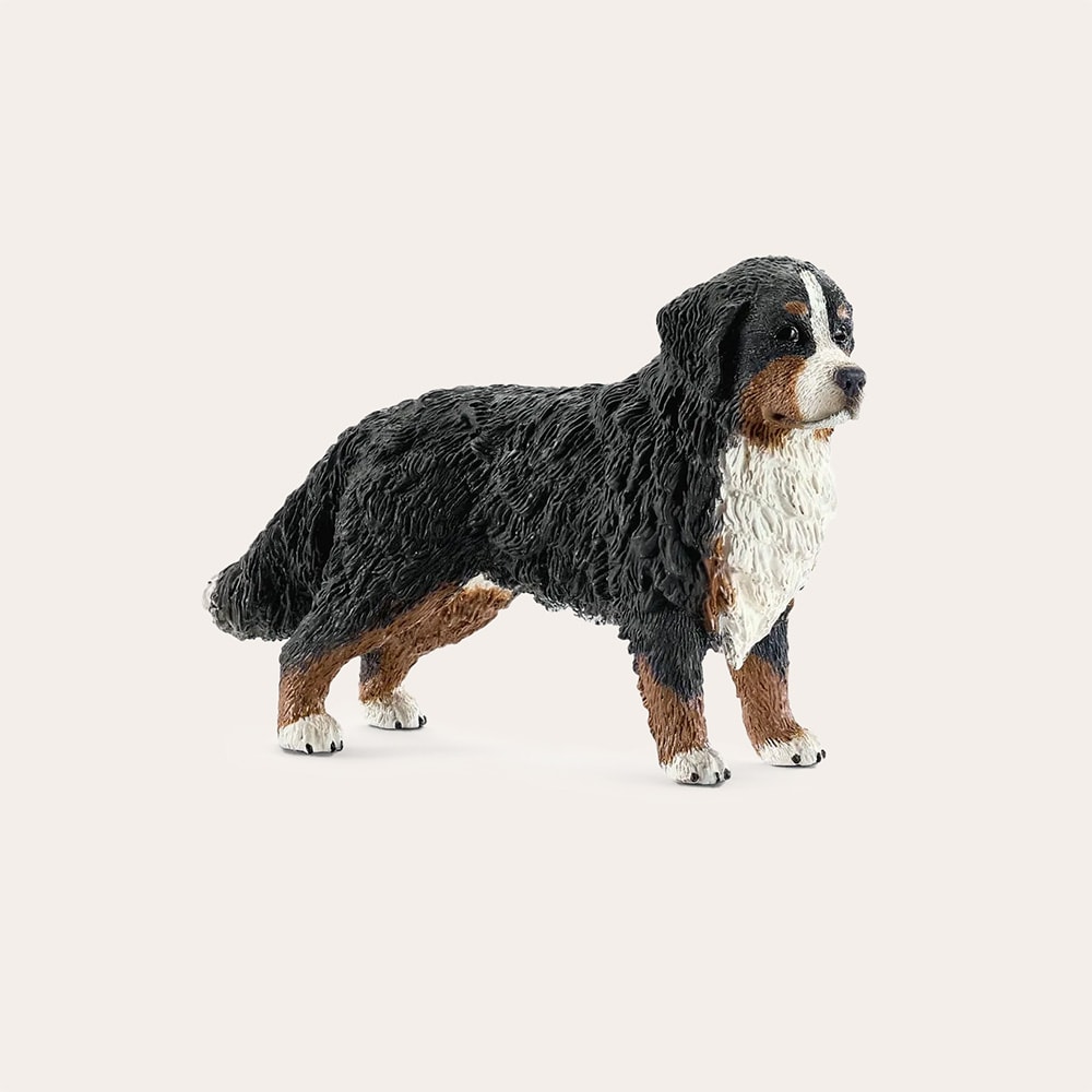 Legetøj  Bernese mountain Dog Female Schleich