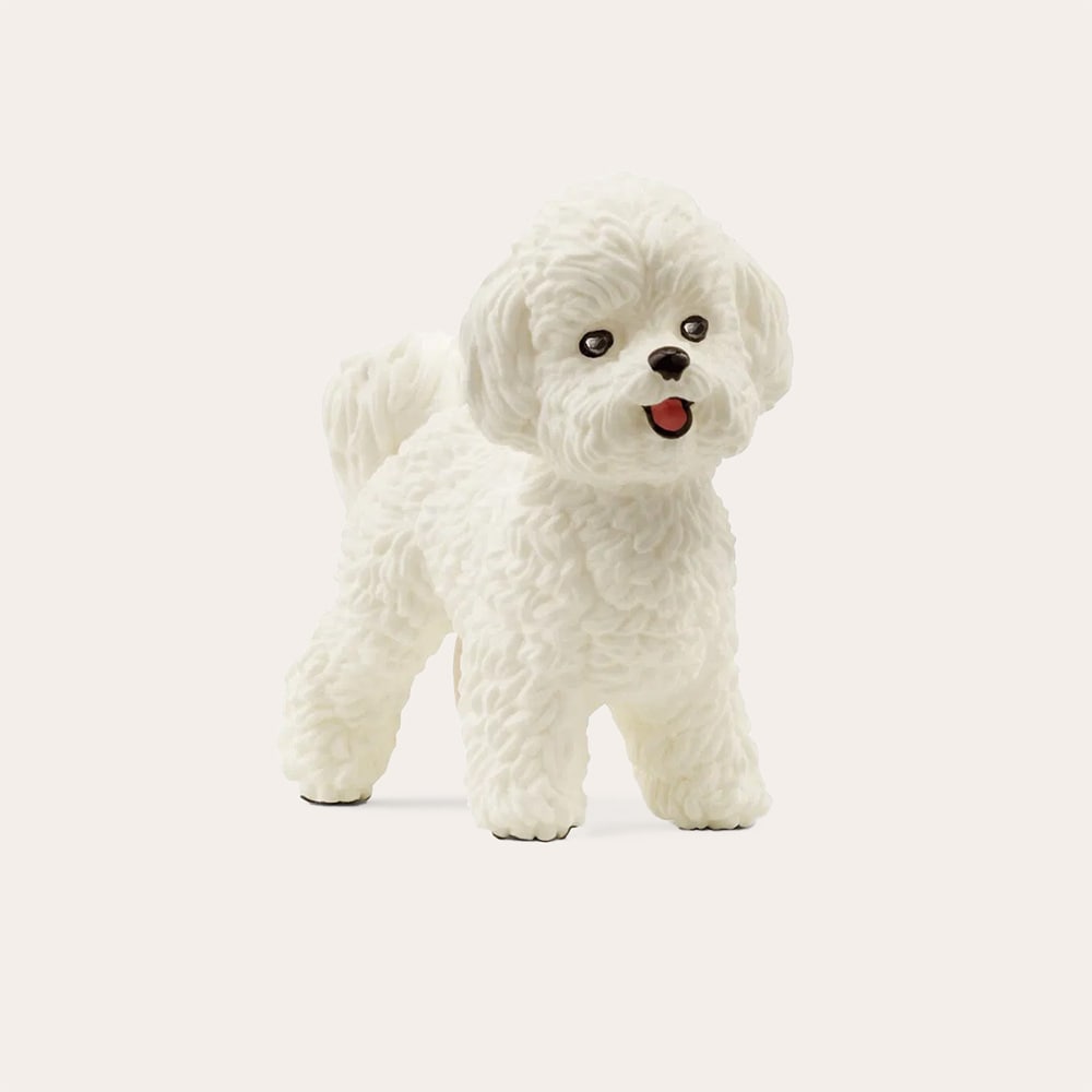 Legetøj  Bichon Frisé Schleich
