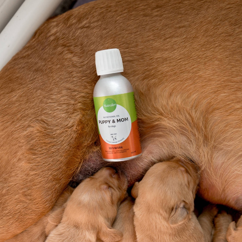 Tilskudsfoder  Nutrolin Puppy & Mom Nutrolin