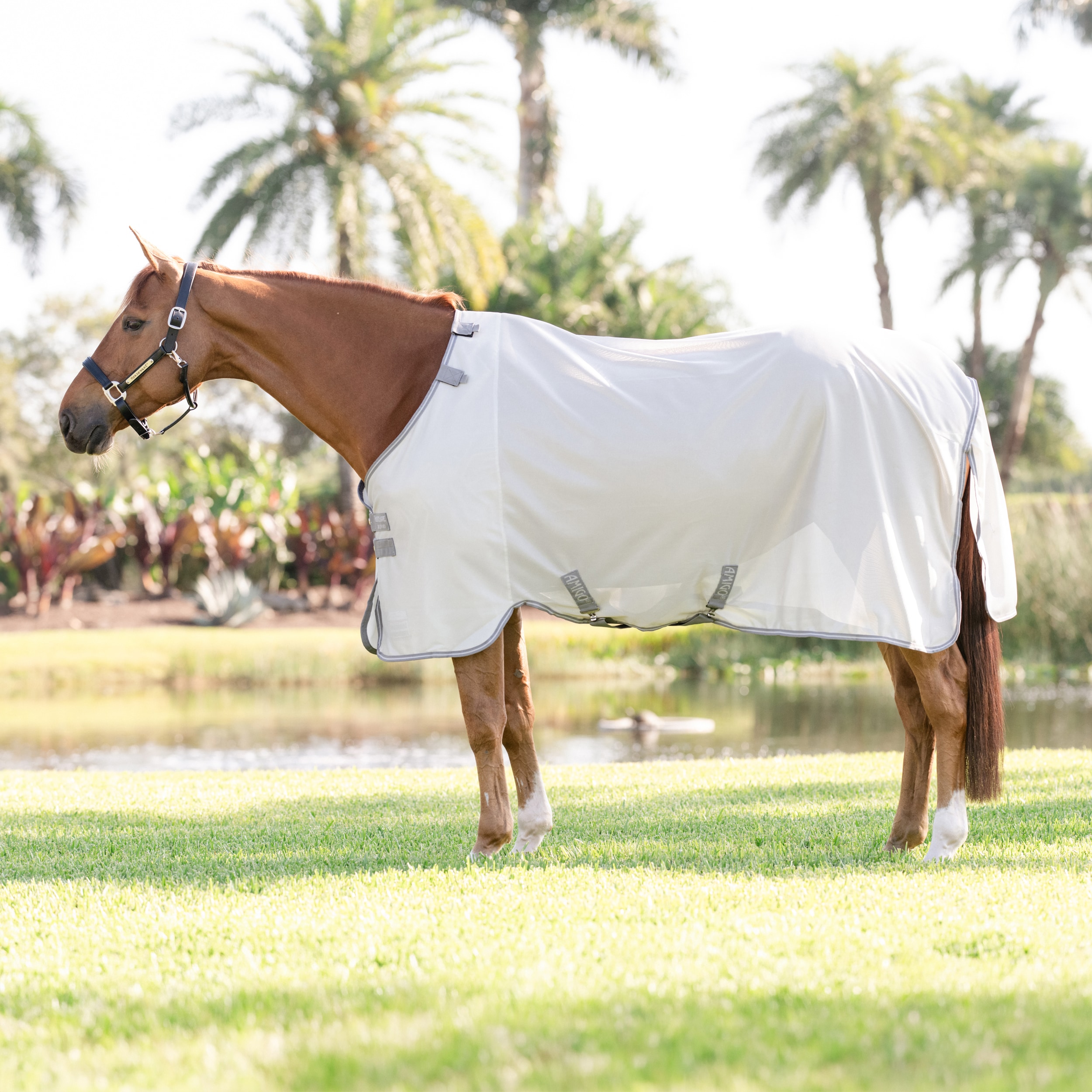 Fluedækken Amigo Bug Rug Horseware®